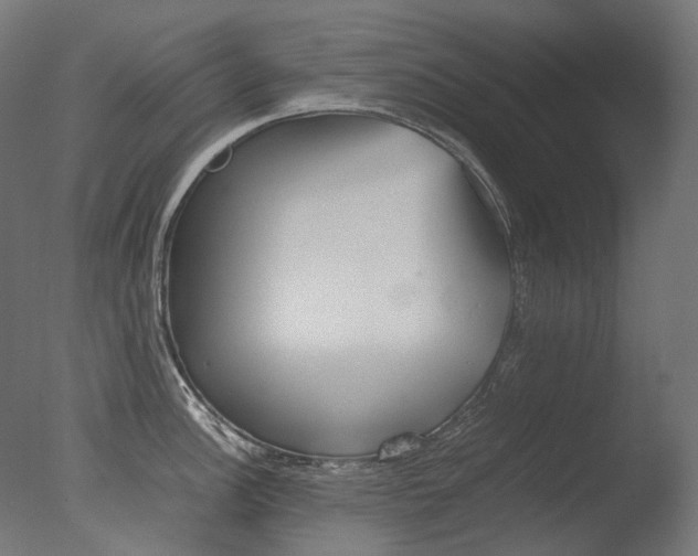 X0000077331148200610200908