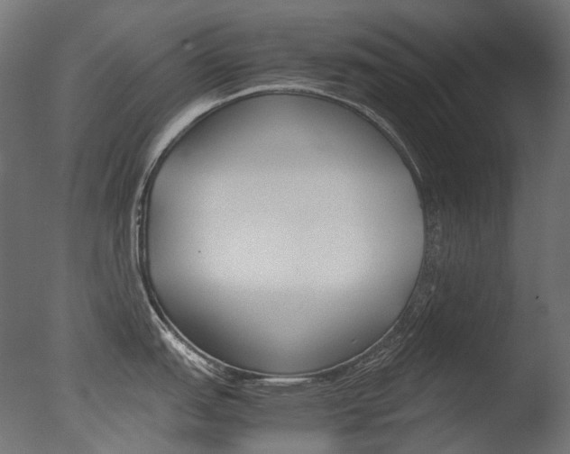 X0000077331151200610200908