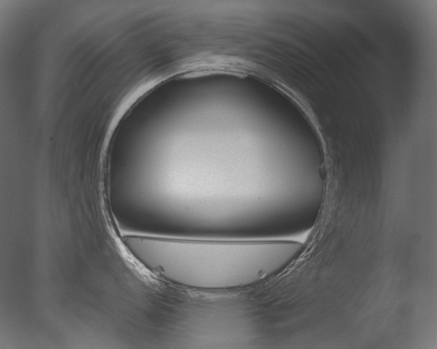 X0000077331152200610200908