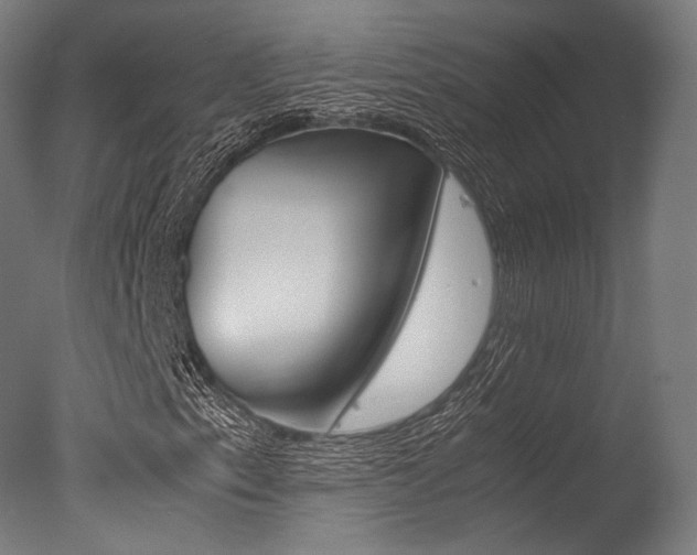 X0000077331153200610200907