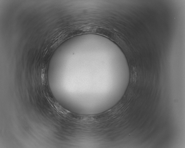 X0000077331154200610200907