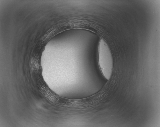 X0000077331155200610200907