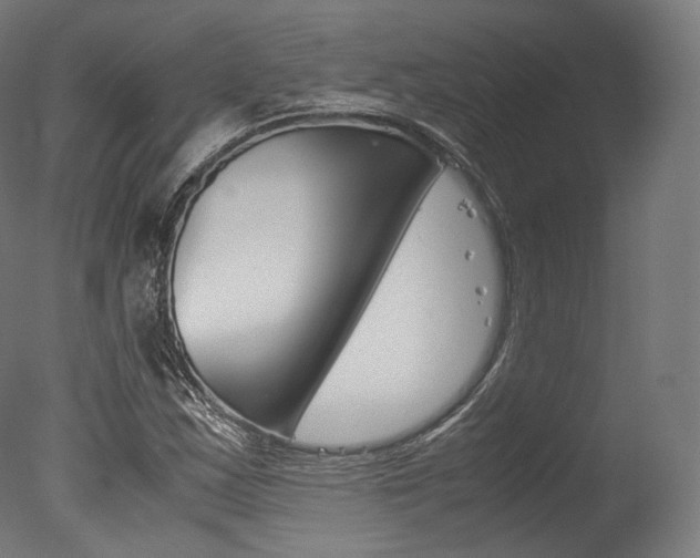 X0000077331163200610200907