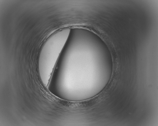 X0000077331169200610200907