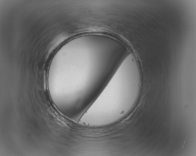 X0000077331171200610200907