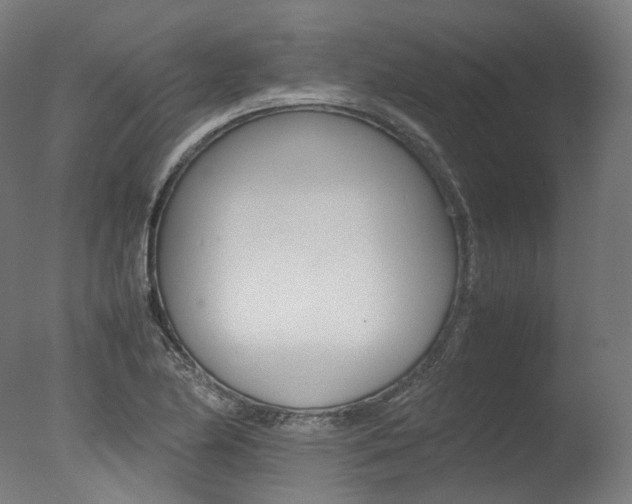 X0000077331174200610200907