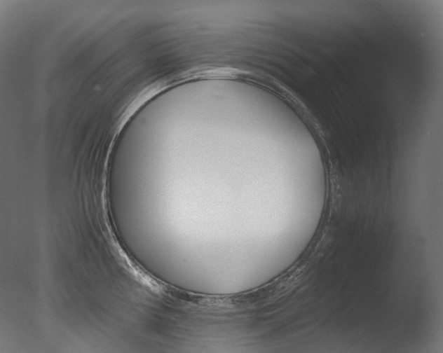 X0000077331194200610200907
