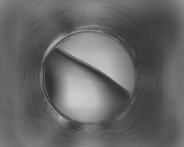 X0000077331196200610200907