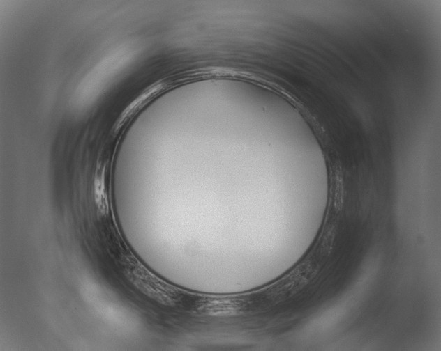 X0000077331198200610200907