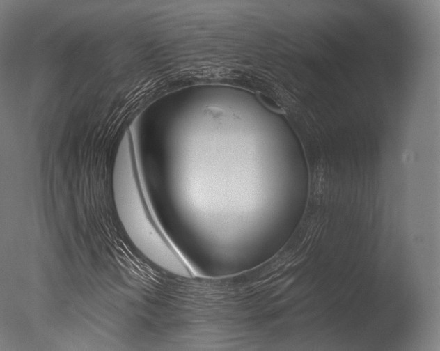 X0000077331202200610200906