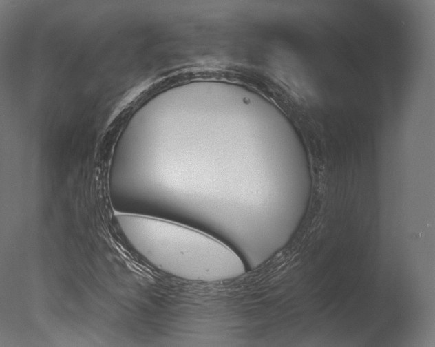 X0000077331208200610200906