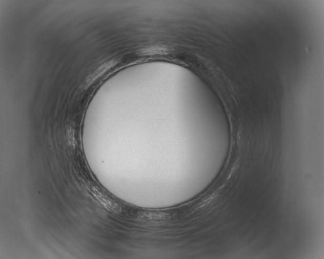 X0000077331209200610200906