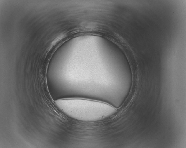 X0000077331210200610200906