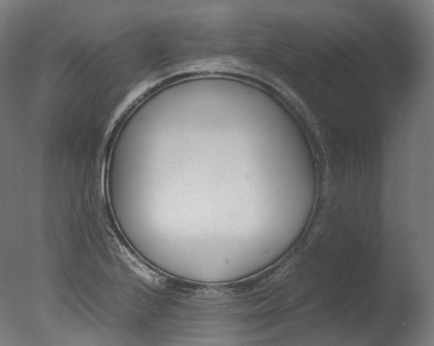 X0000077331224200610200906