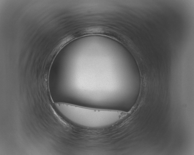 X0000077331225200610200906