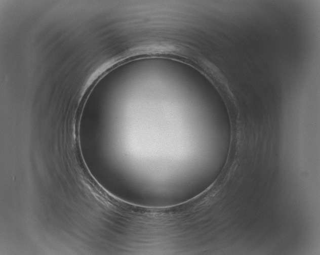 X0000077331226200610200906