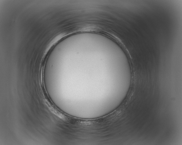 X0000077331227200610200906