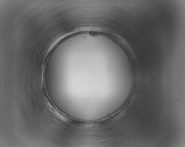 X0000077331228200610200906