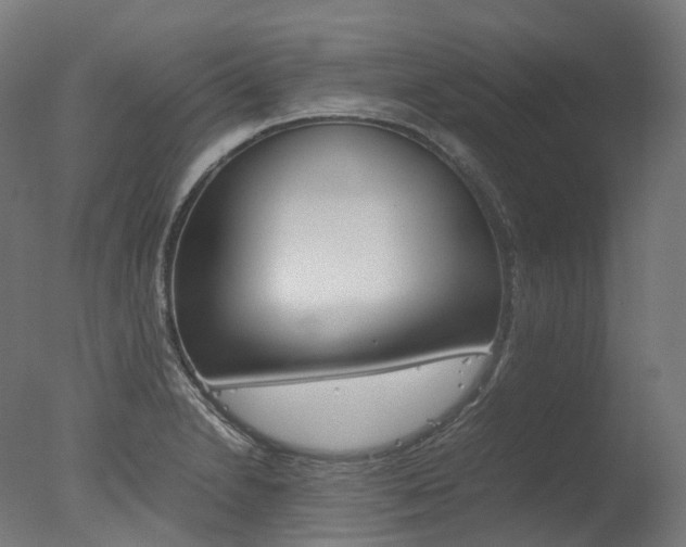 X0000077331230200610200906