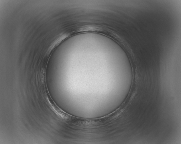 X0000077331233200610200906