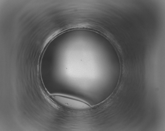 X0000077331234200610200906