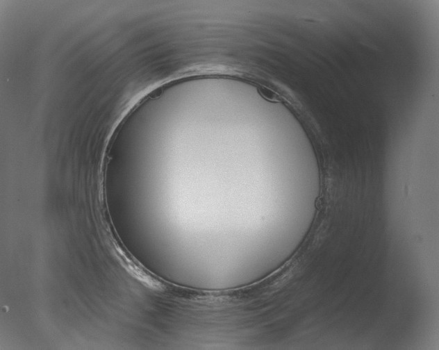 X0000077331236200610200906