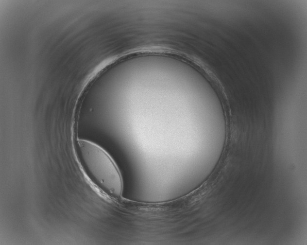 X0000077331237200610200906