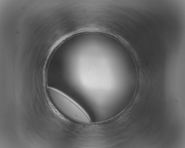 X0000077331238200610200906