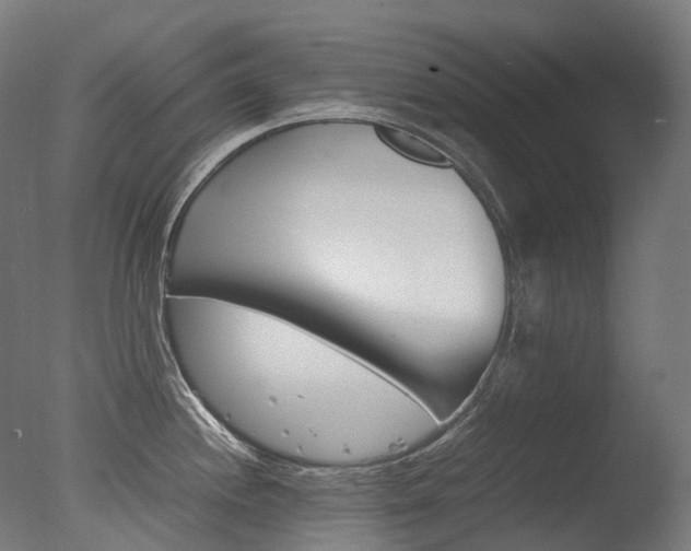 X0000077331244200610200906