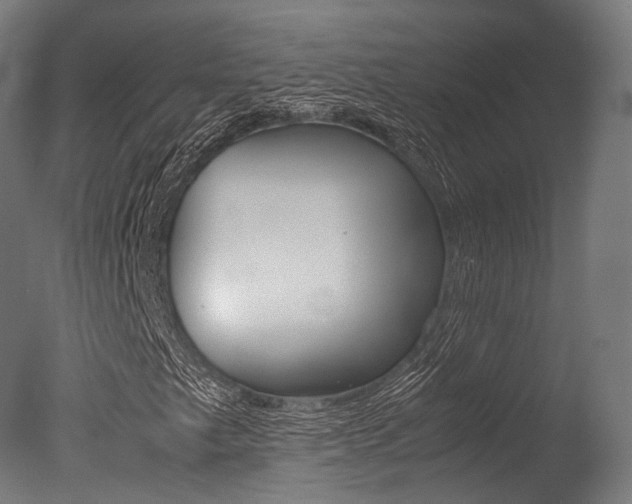 X0000077331249200610200906