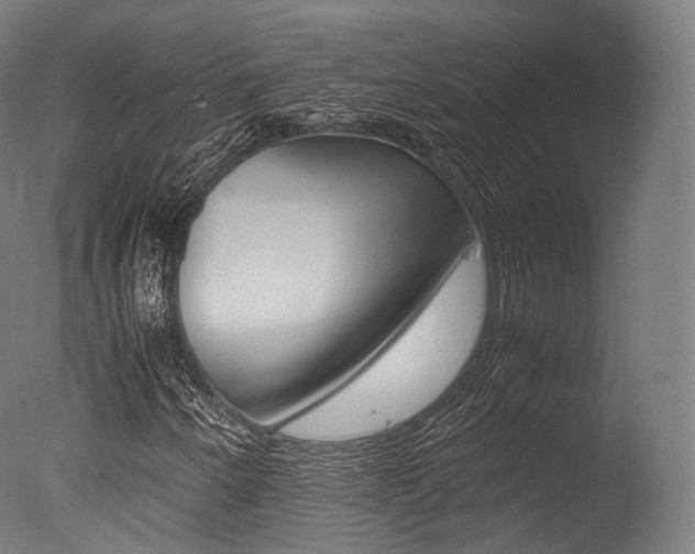 X0000077331250200610200906