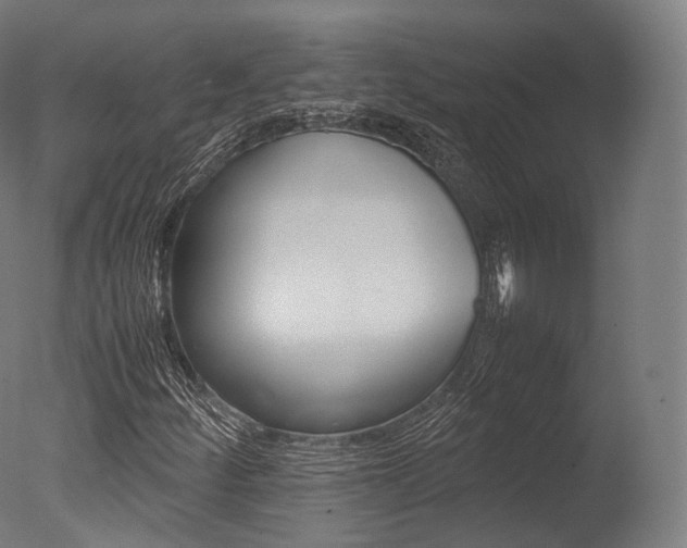 X0000077331252200610200906