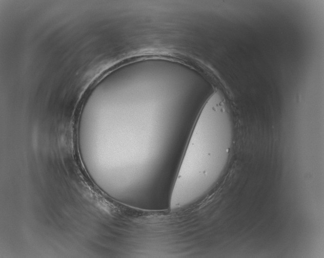 X0000077331268200610200905