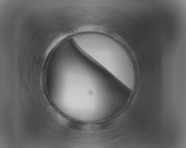 X0000077331277200610200905