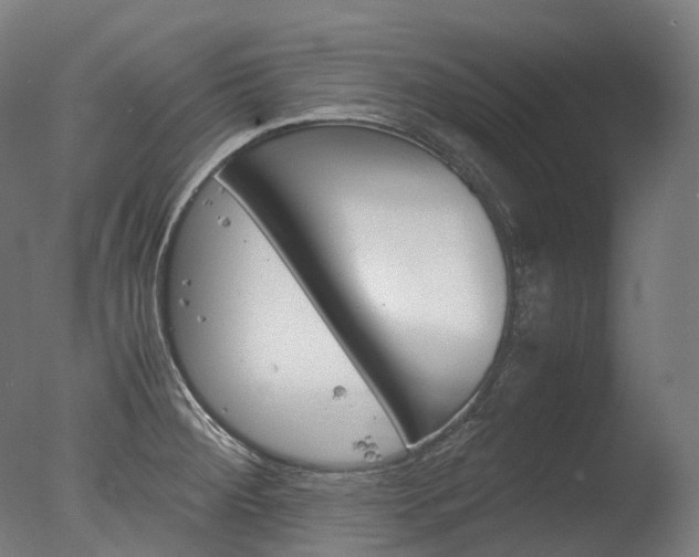 X0000077331284200610200905