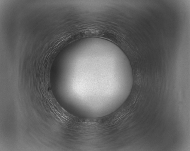X0000077331297200610200904