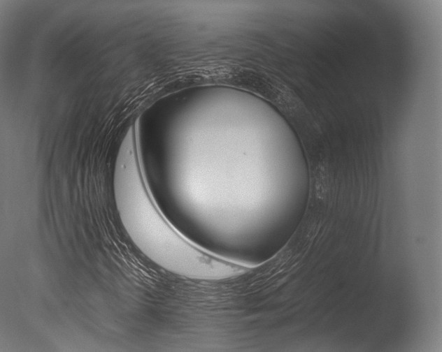 X0000077331298200610200904