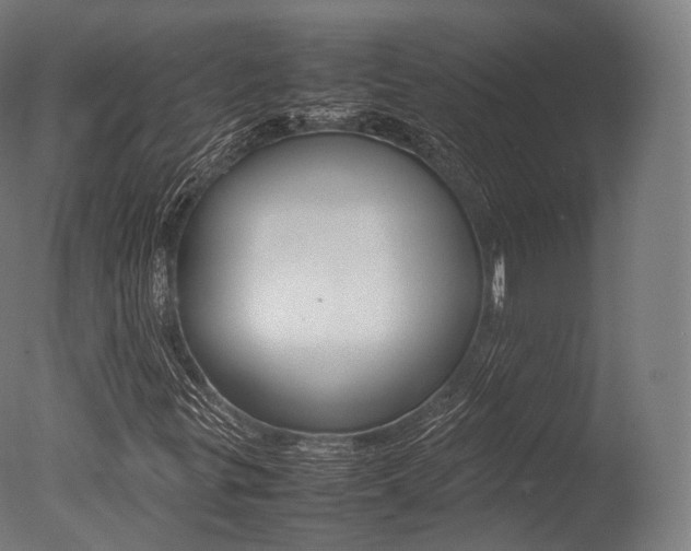 X0000077331299200610200904