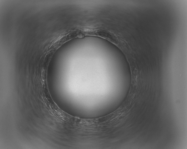 X0000077331301200610200904