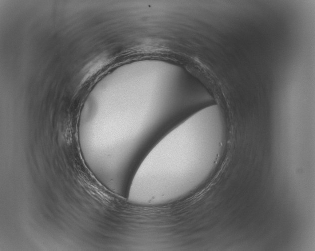 X0000077331306200610200904