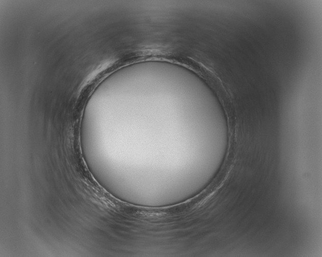 X0000077331309200610200904