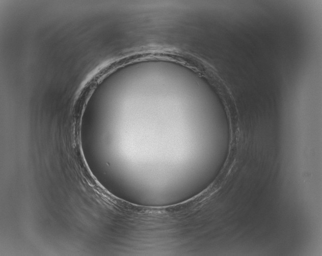 X0000077331310200610200904