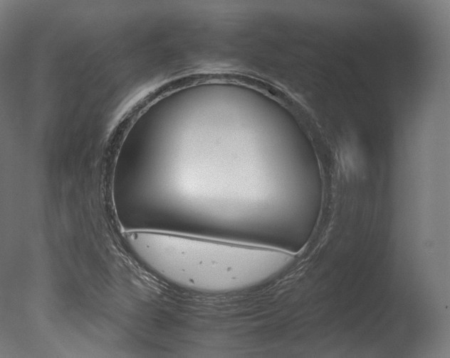 X0000077331311200610200904