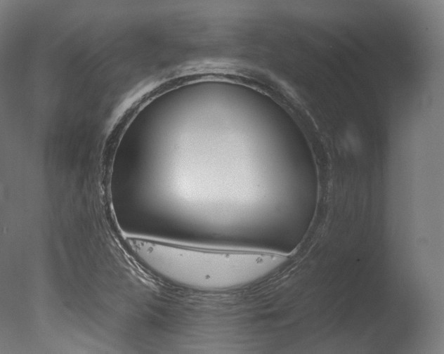 X0000077331312200610200904