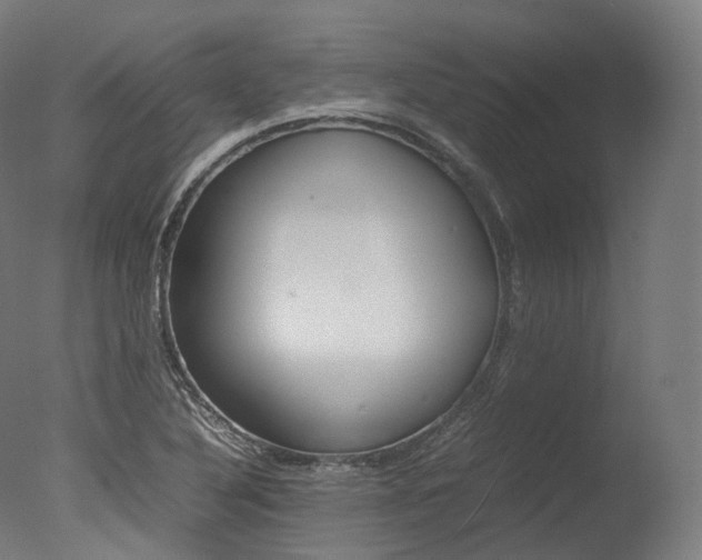 X0000077331316200610200904