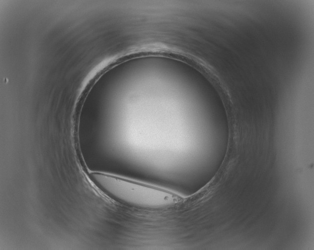 X0000077331326200610200905