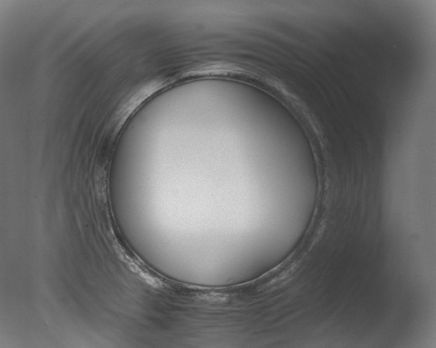 X0000077331329200610200905
