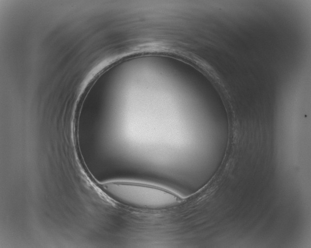 X0000077331334200610200905