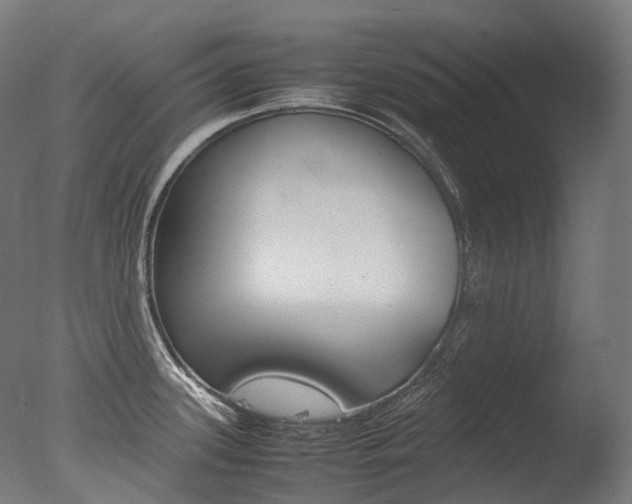 X0000077331339200610200905