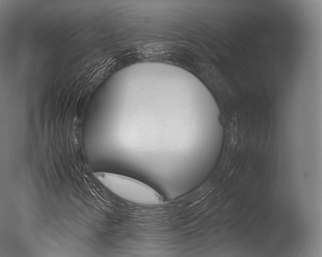 X0000077331346200610200904